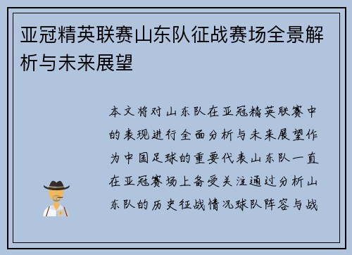 亚冠精英联赛山东队征战赛场全景解析与未来展望